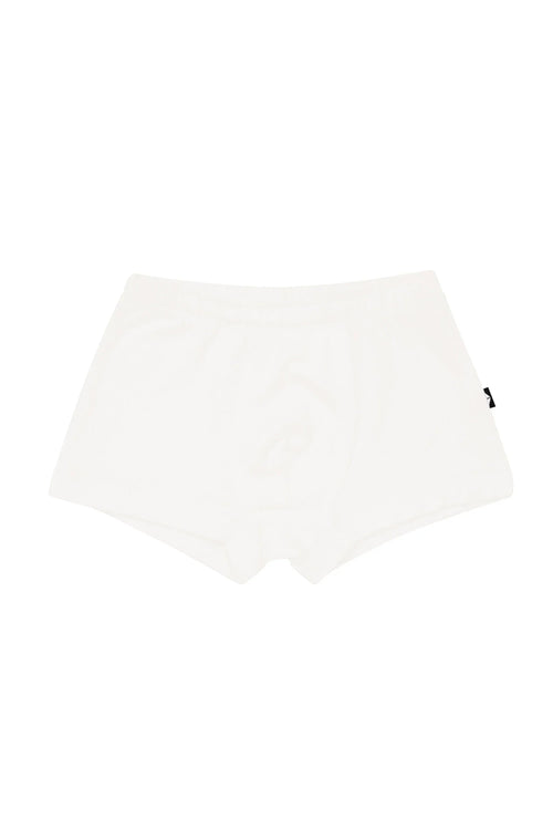 Briefs in Cloud