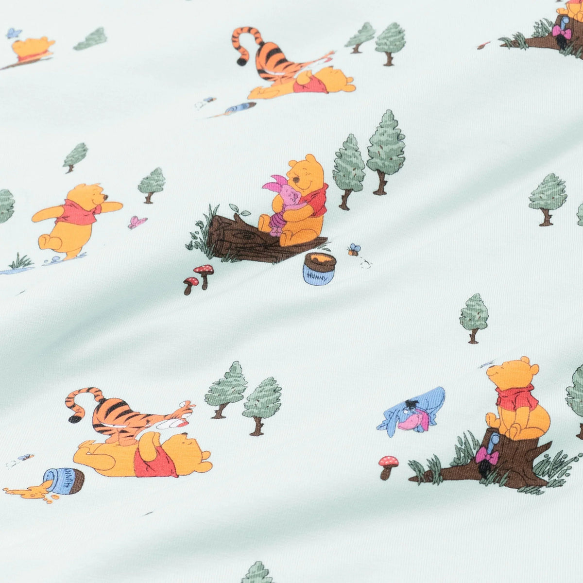 Footie in Winnie the Pooh Hundred Acre Wood