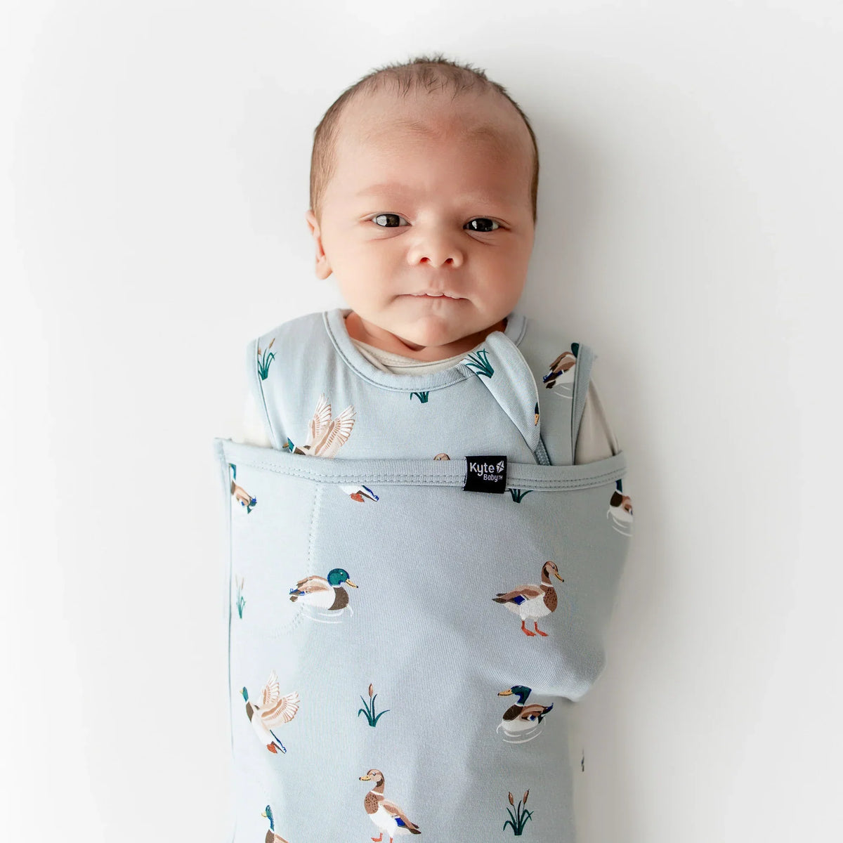 Sleep Bag Swaddler in Mallard Duck 1.0